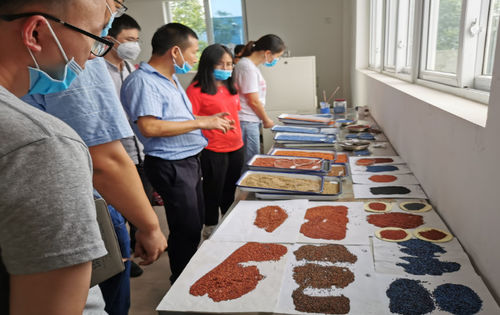 Latest company news about قاعدة الصناعة والجامعة والبحوث لقسم المواد بجامعة تشينغدو للتكنولوجيا، تعاون شامل مع الصين